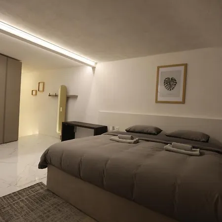 公寓 Taleda - Modern & Self Checkin In The Old Town 盧加諾